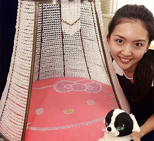 Hello Kitty luxury Doghouse