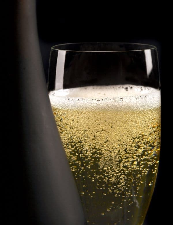 champagne flute