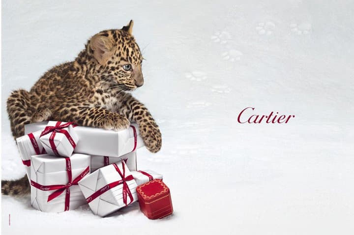 cartier snow panther