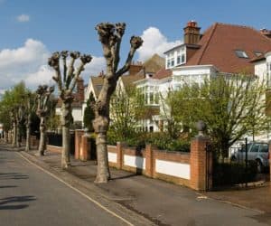 Parkside Wimbledon