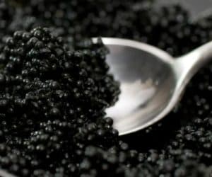 spoon caviar