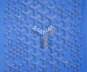Goyard Scarf blue