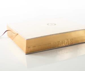 Alber Elbar Lanvin Book