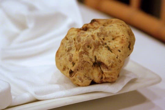 white Italian truffle