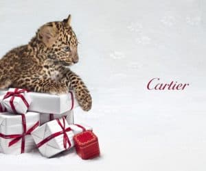 cartier panther ad campaign