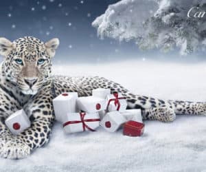 cartier winter tale campaign 2011