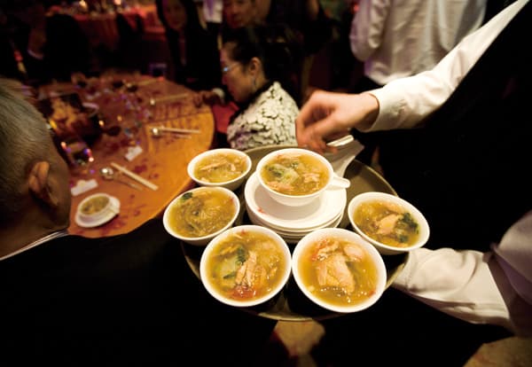 shark fin soup
