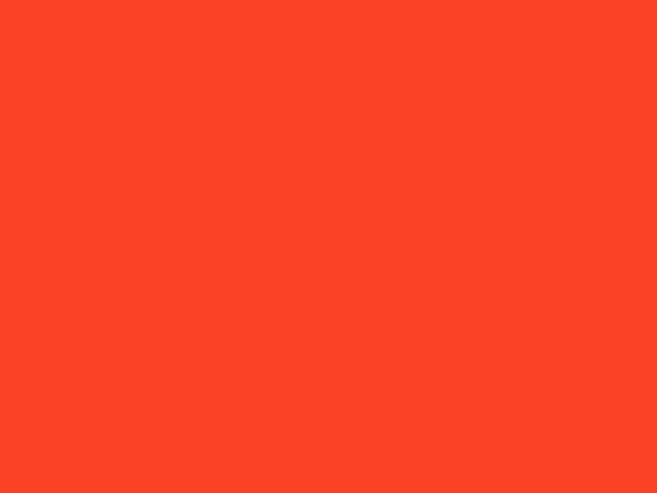 Tangerine Tango Pantone