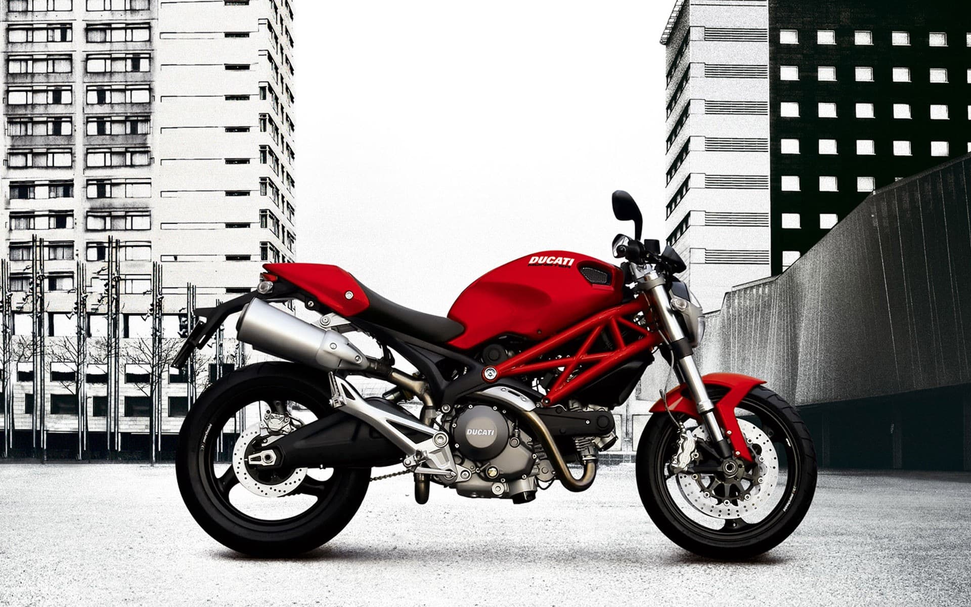 ducati monster