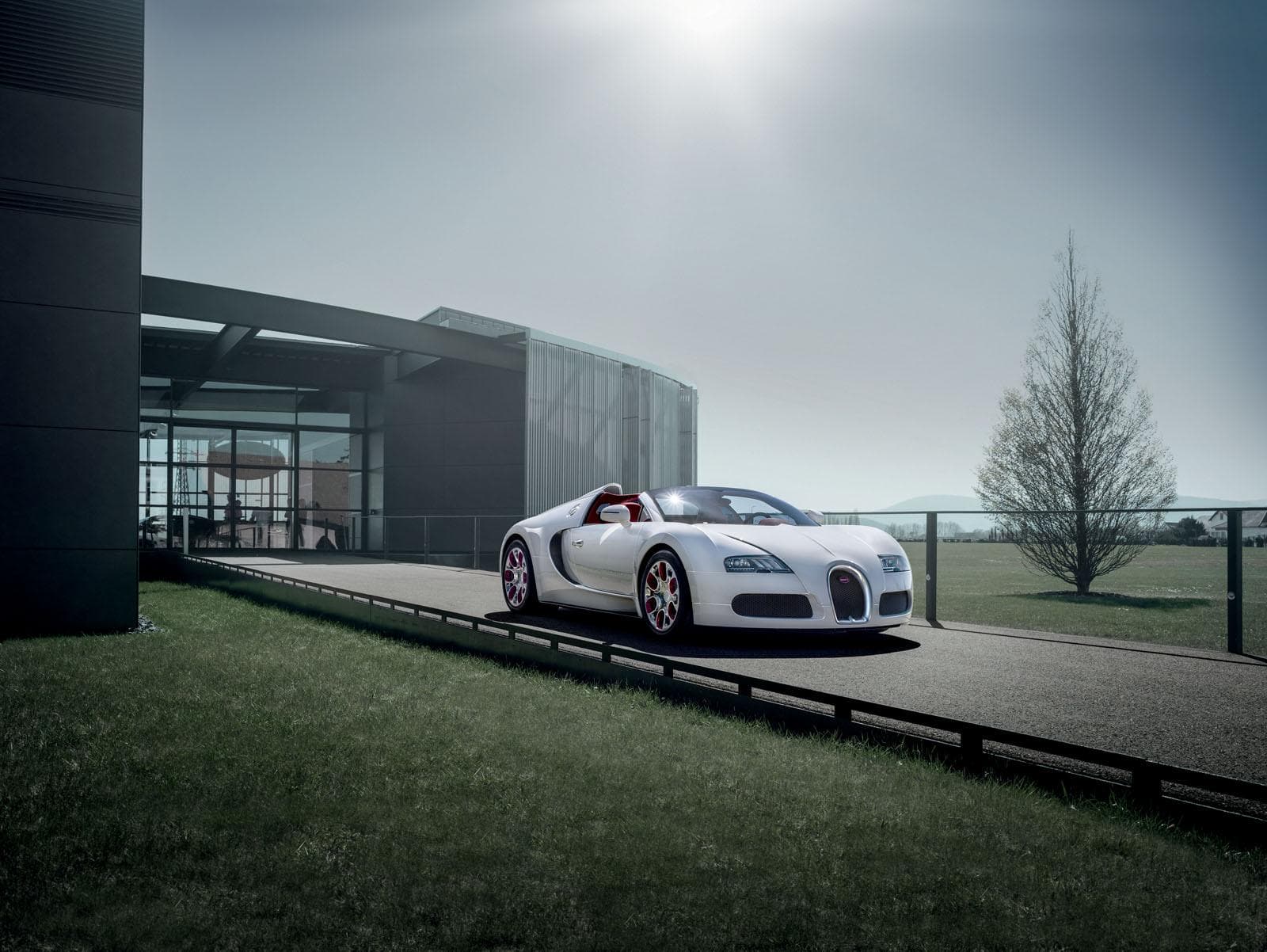 Bugatti Veyron Grand Sport Wei Long edition