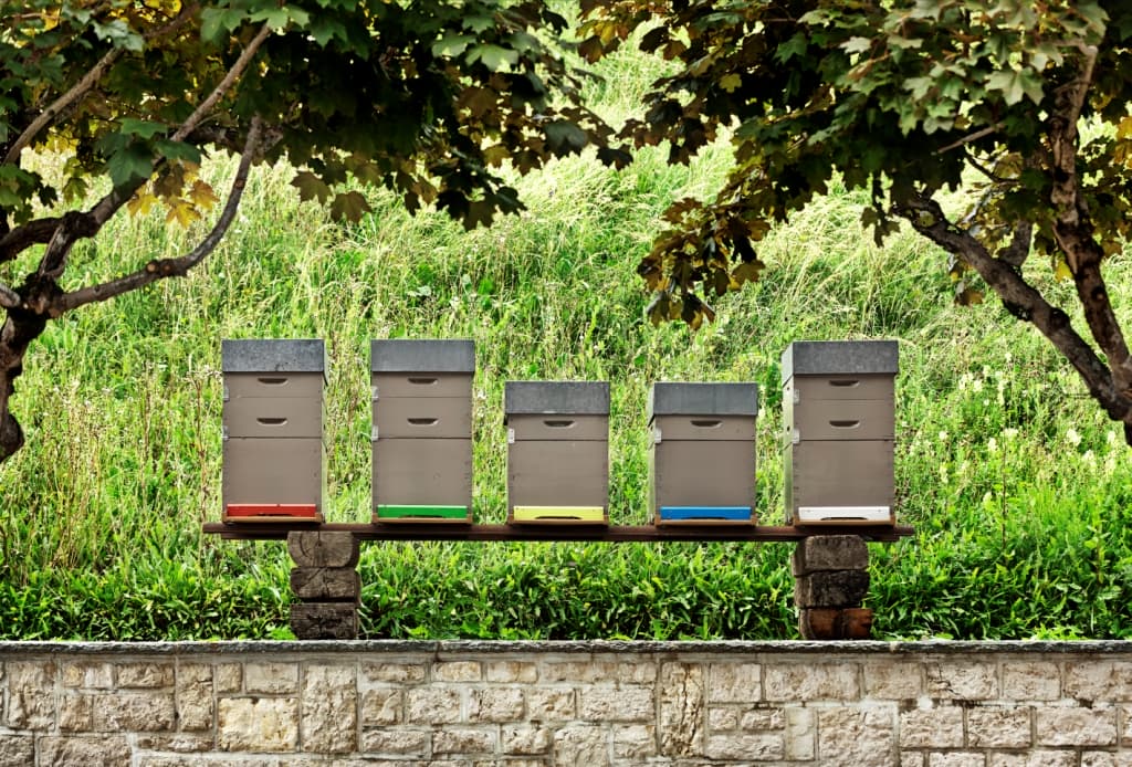 Jaeger LeCoultre hives