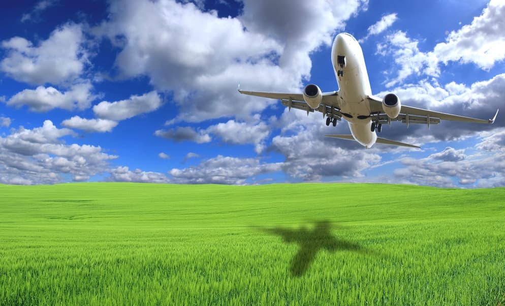 Aviation biofuel