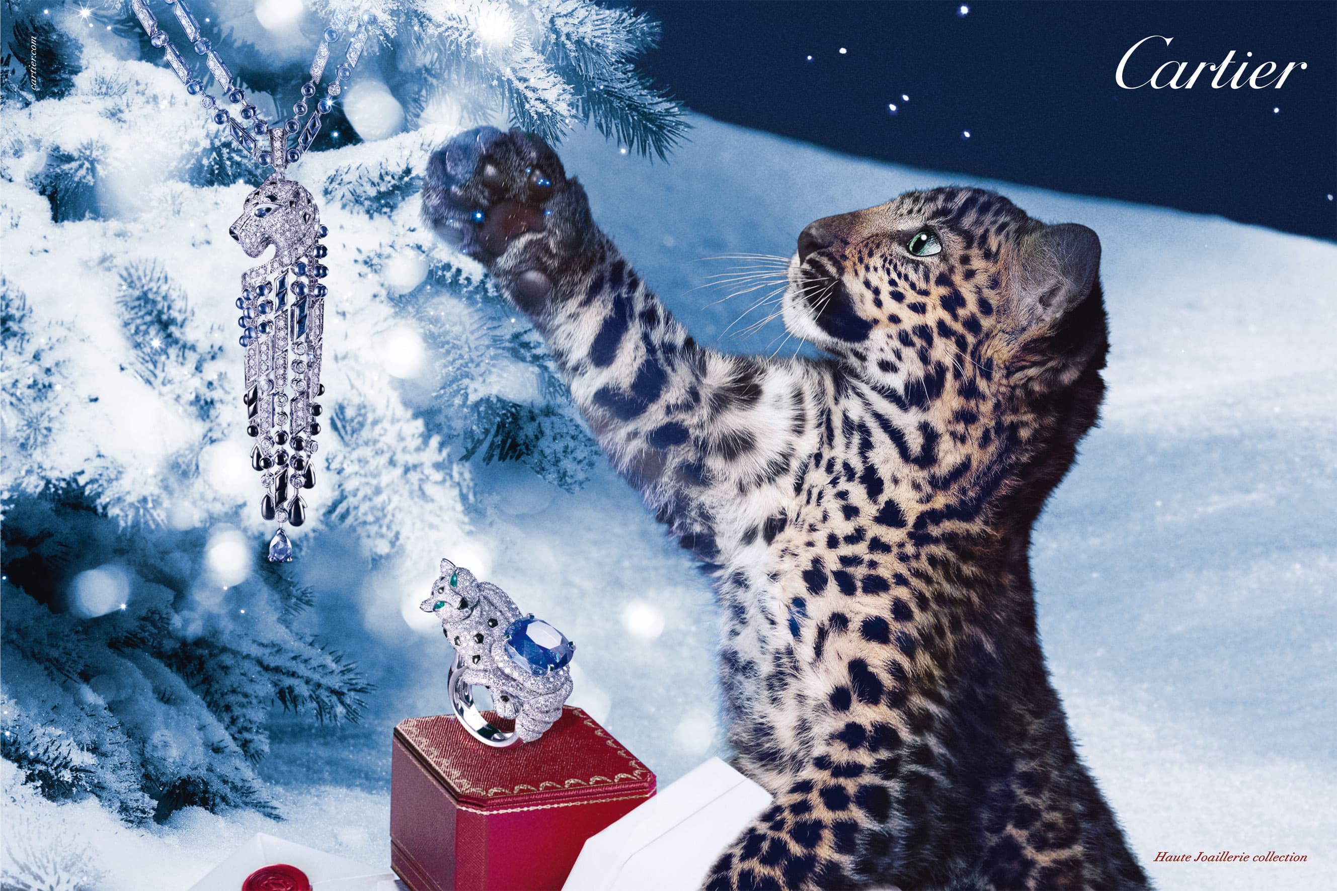 Winter tale Cartier
