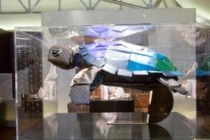 LV turtle Honolulu