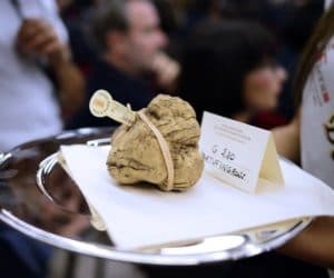 white truffle italy