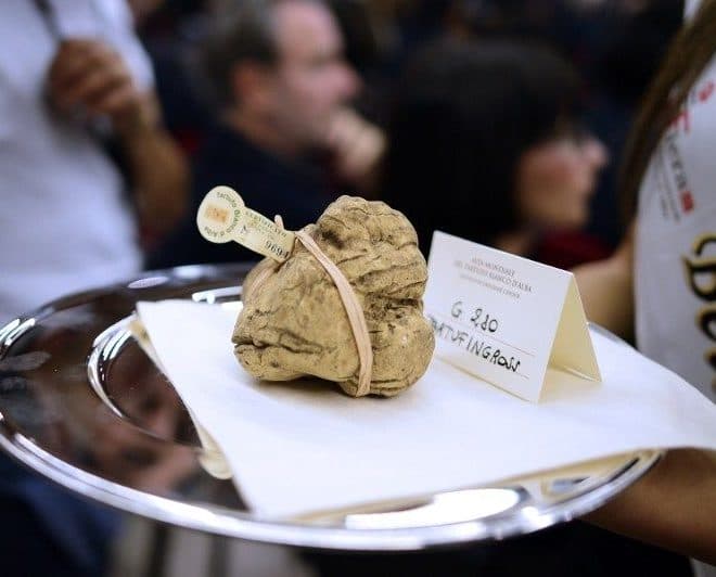 white truffle italy