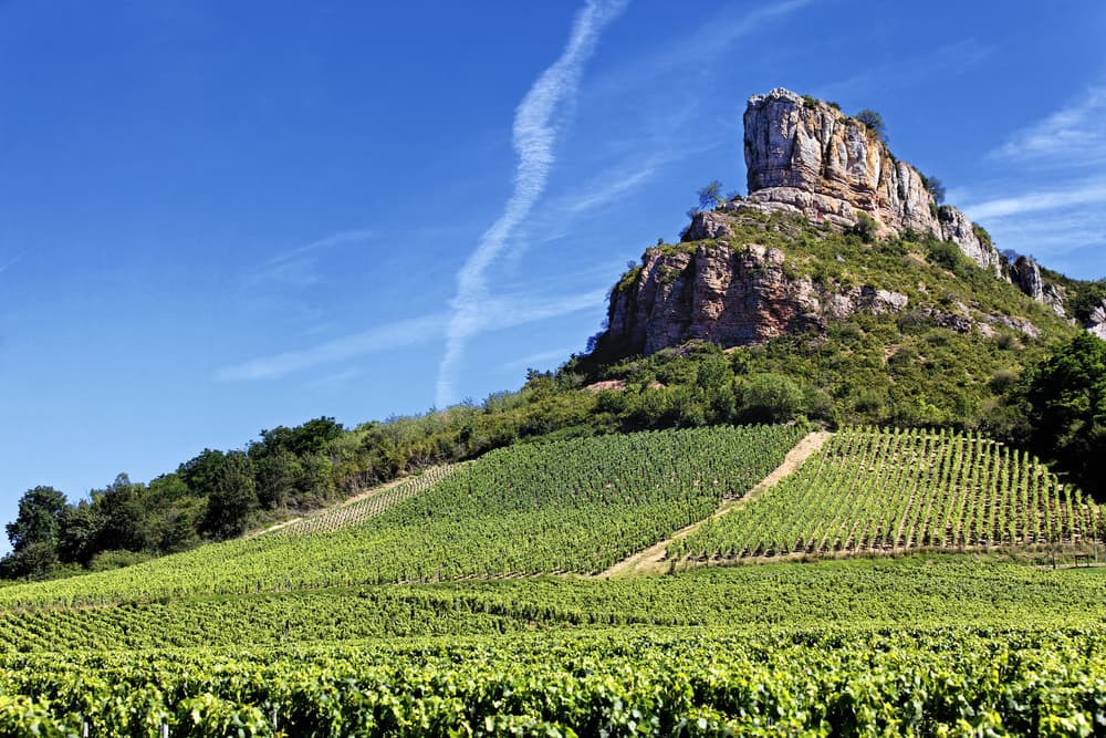 Burgundy Wine