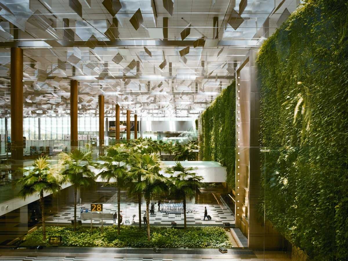 vertical garden and green wall at singapore airport