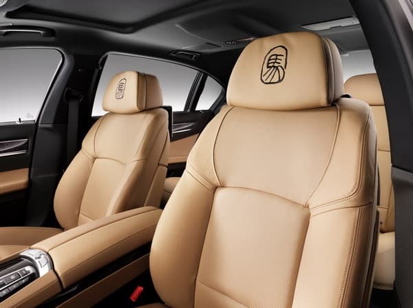 BMW Horse Edition interior
