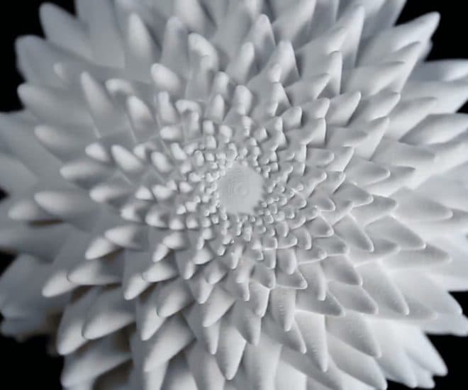 Fibonacci Zoetrope Sculpture