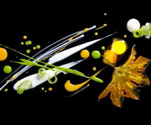 Alinea culinary masterpiece