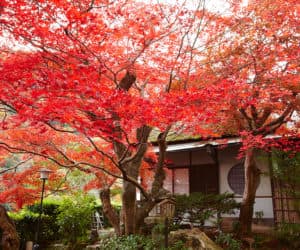 Suiran Kyoto