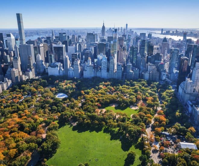 New York iStock generic with Central Park