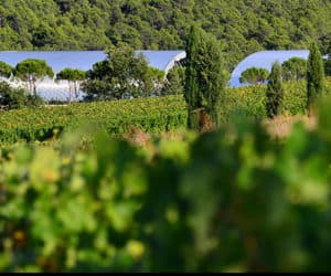 Château La Coste, Provence, France.
