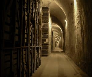 Duval-Leroy Champagne Estate Welcomes Visitors