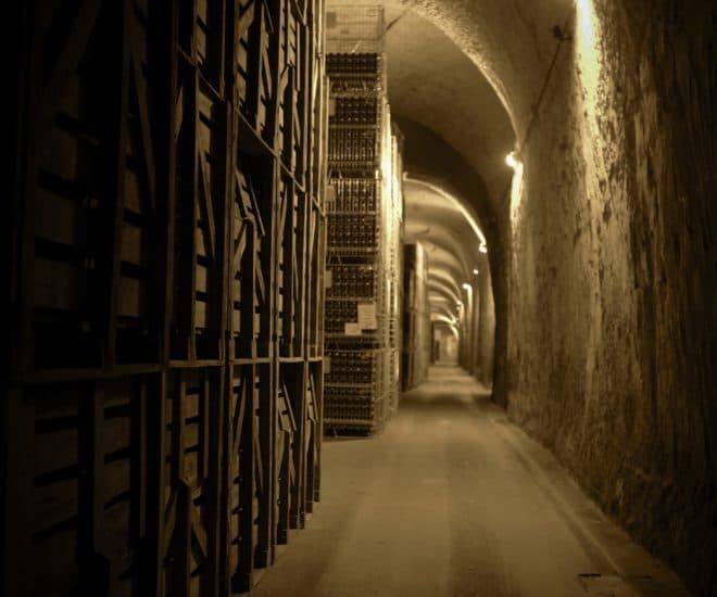 Duval-Leroy Champagne Estate Welcomes Visitors