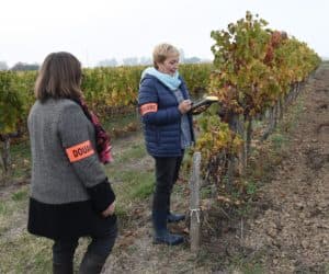 Hunting Fraudsters in French Wine Heartland