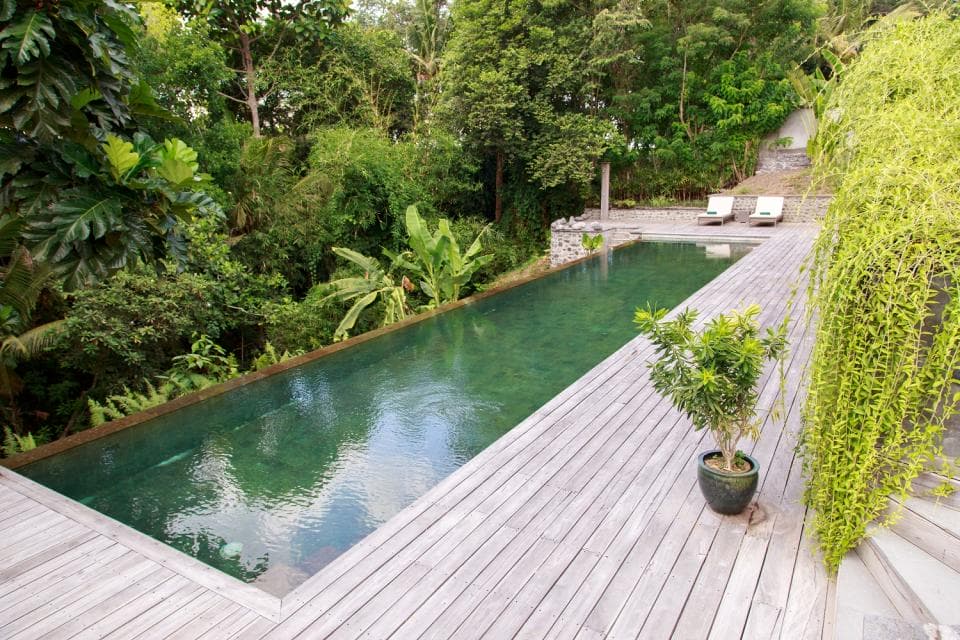 Maison Simba Bali