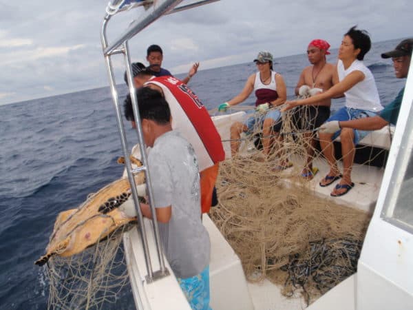 Reef Guardian and Lankayan Island Dive Resort teams pull a bottom gillnet that entangled marine creatures including sharks, turtles and rays