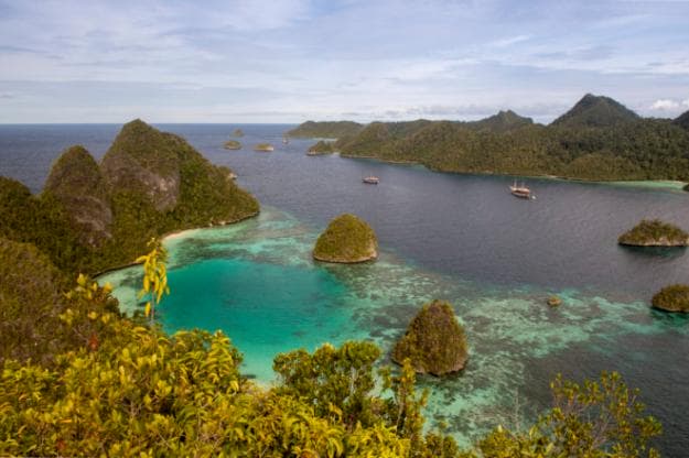 View from the top of one of the Wayag Islands in Raja Ampat