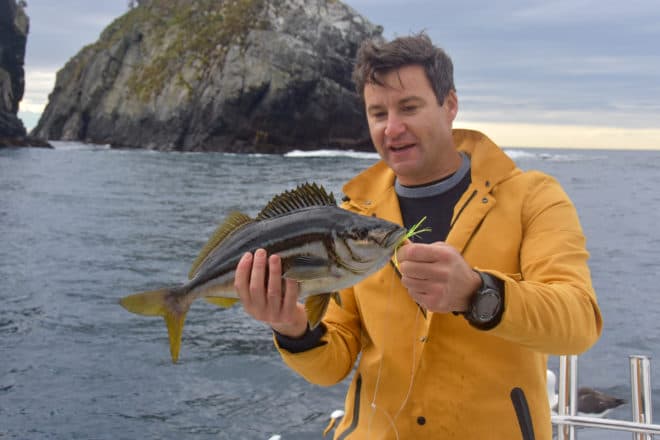 Clarke with the designated ‘fish of the day’, trumpeter, which took a while to find