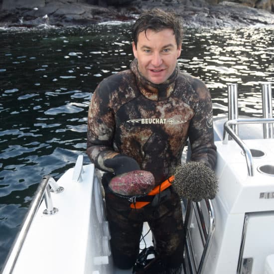 Gayford in the water collecting paua and kina; lobsters are also common