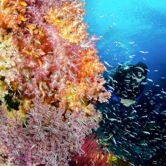 Silolona and Si Datu Bua both offer dive equipment and supervision (C) Claudia Pellarini