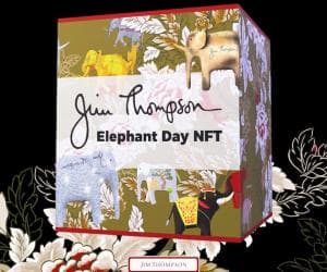 NFT Jim Thompson Binance NFT Mystery Box