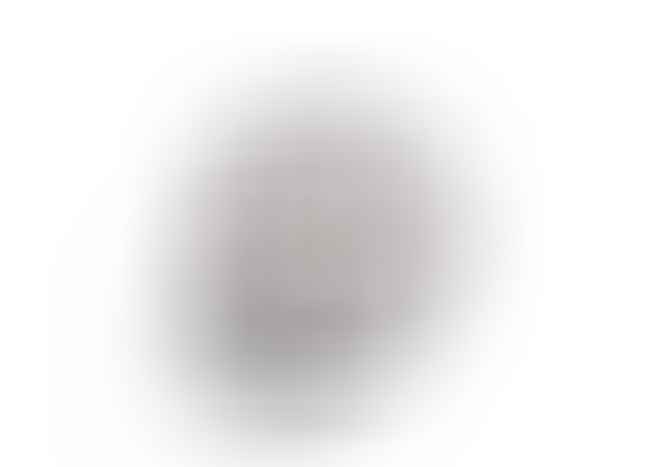 BVL100 Calibre, Bvlgari