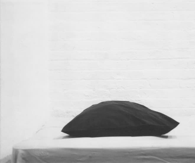 Saint Laurent Rive Droite and Robert Mapplethorpe works