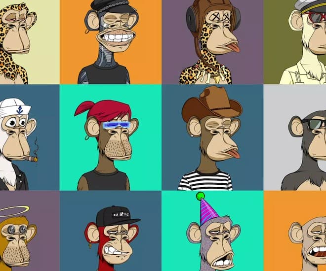 Bored Ape Yacht Club