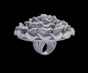SWA Diamond Ring Guinness World Record