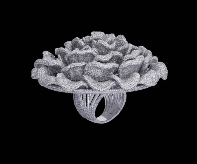 SWA Diamond Ring Guinness World Record