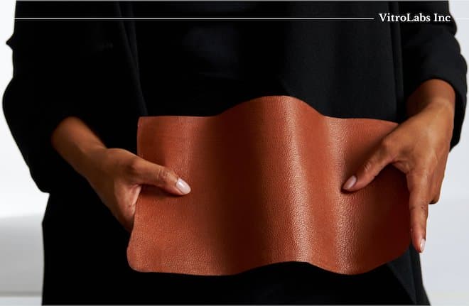VitroLabs Lab Grown Leather Sustainable Materials
