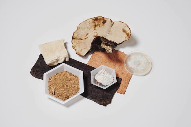 Mylo Mushroom Vegan Leather BioBased Sustainable Tech Startup