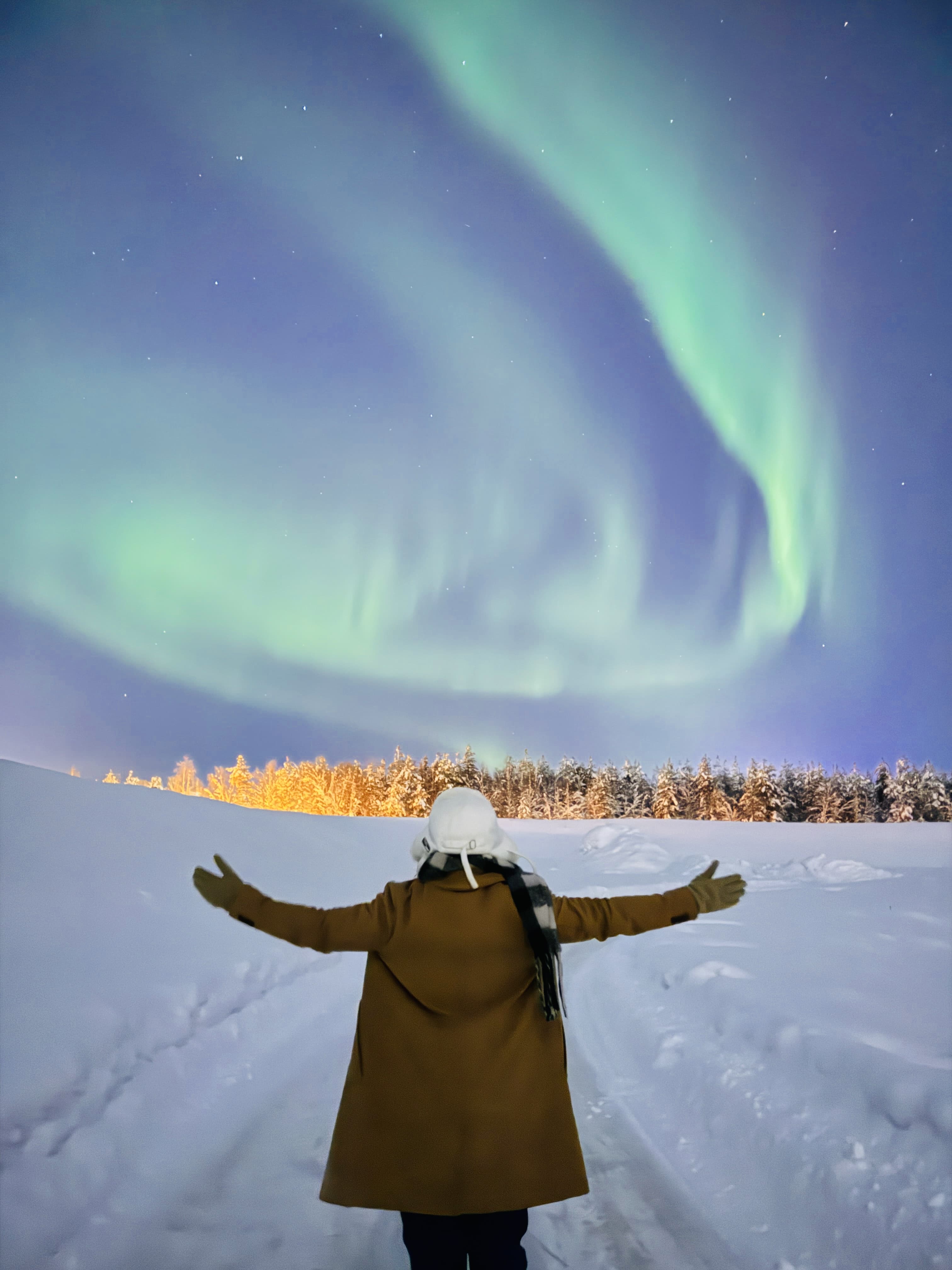 A Five-Sensory Stay at Arctic TreeHouse Hotel in Rovaniemi, Finland