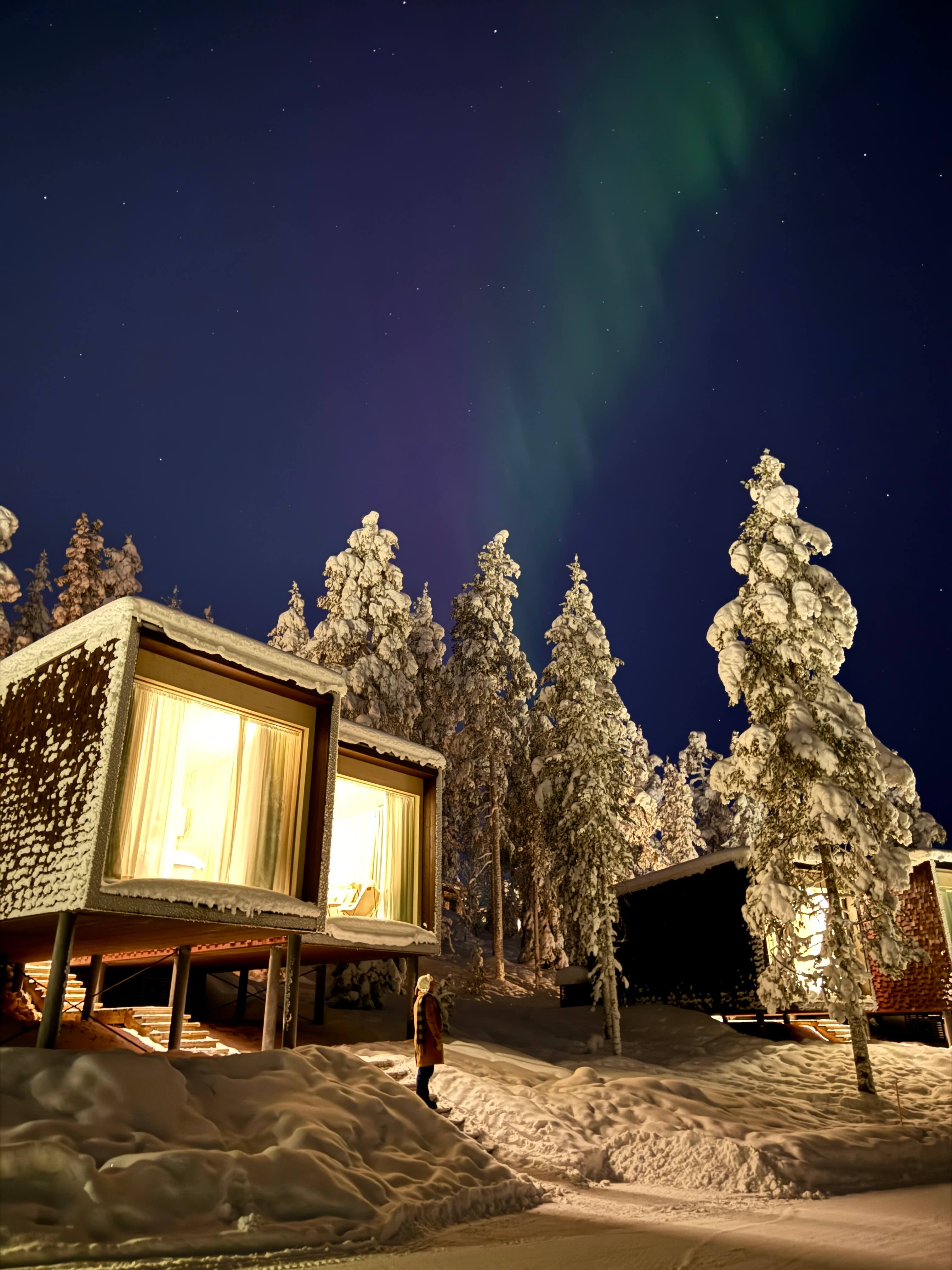 A Five-Sensory Stay at Arctic TreeHouse Hotel in Rovaniemi, Finland