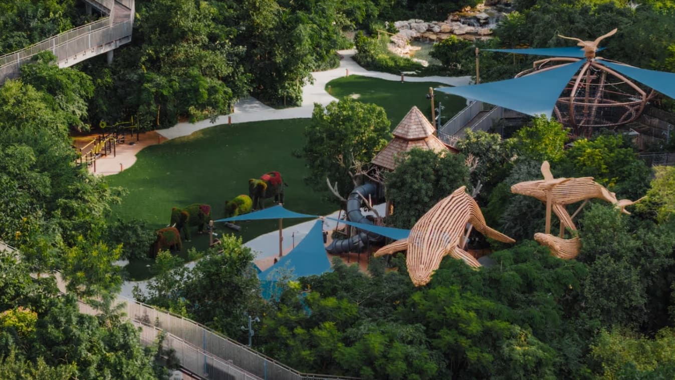 El proyecto Forestías. Imagen: MQDC