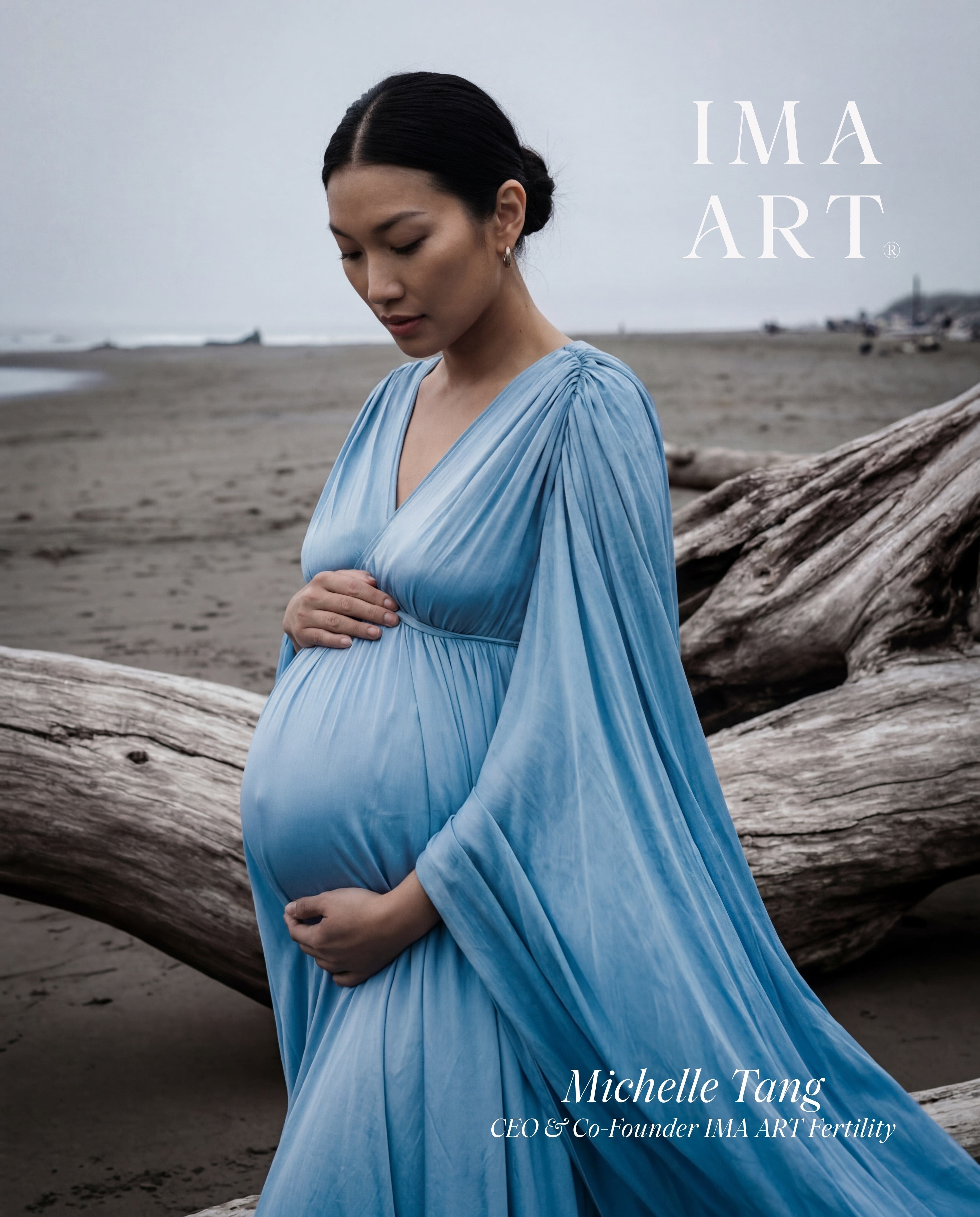 Mujer embarazada con un vestido azul fluido en una playa brumosa con madera flotante – Michelle Tang IMA ART Fertility