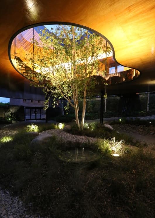 Un árbol real sirve como pieza central del Centro Maggie; los visitantes pueden ver el jardín de abajo. Imagen: Divisare.com.